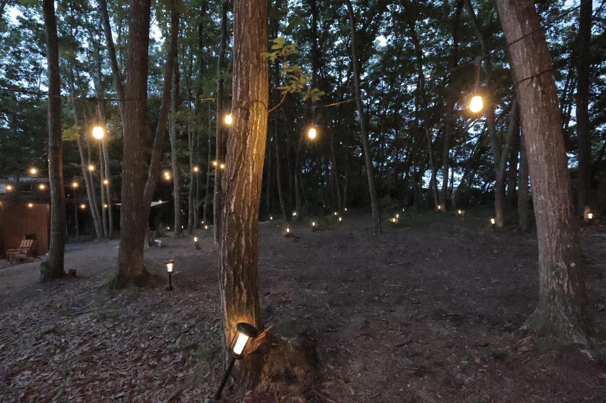 Sauna Forest Cabin 軽井沢 御代田　Mori-Asobi Oiwake Bagian luar foto